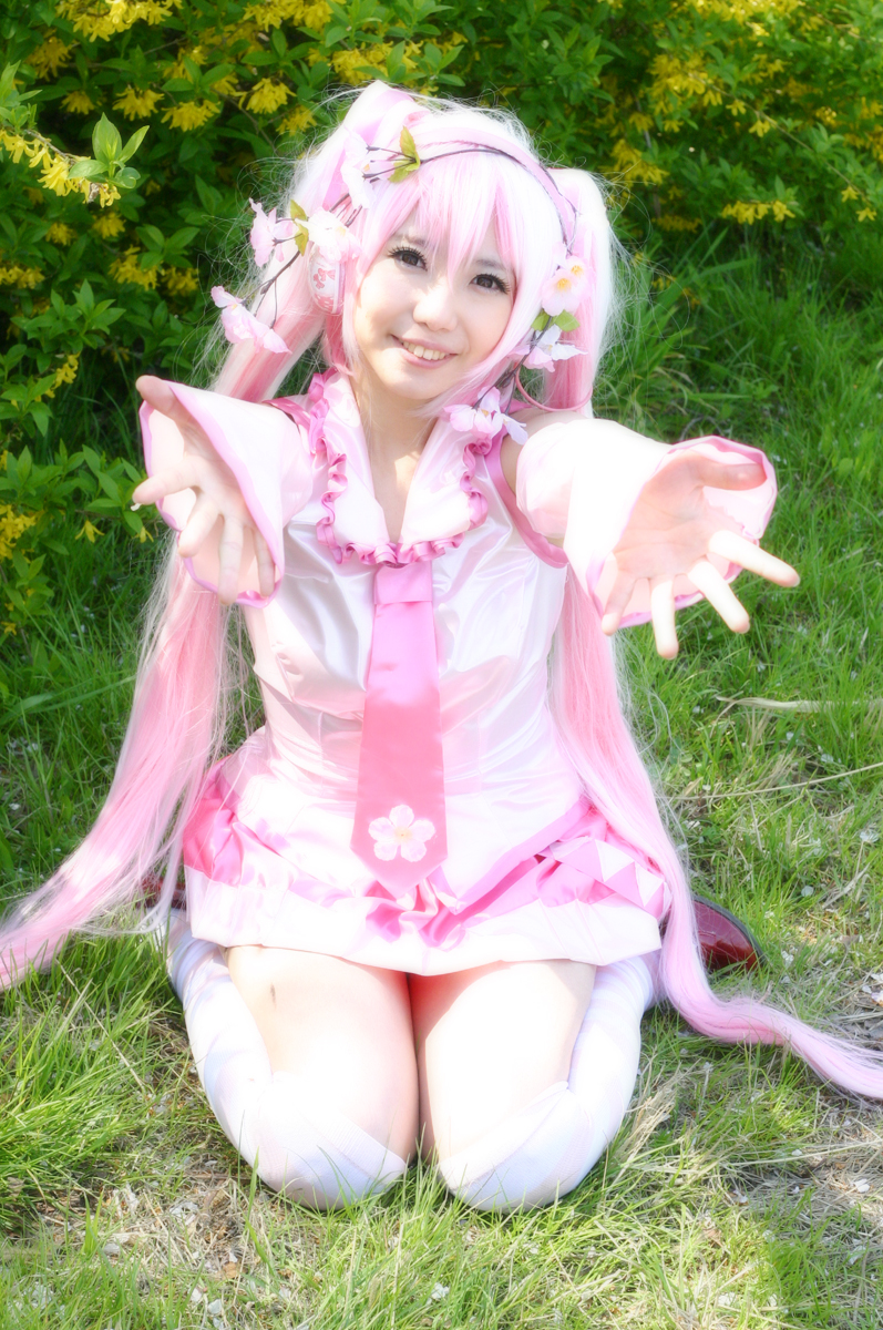 Mikku Miku Vol.1 Sakura Miku & Yuki Miku