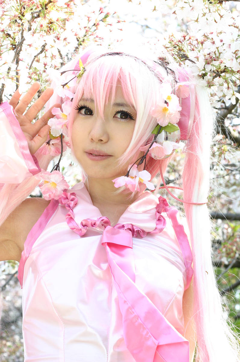 Mikku Miku Vol.1 Sakura Miku & Yuki Miku