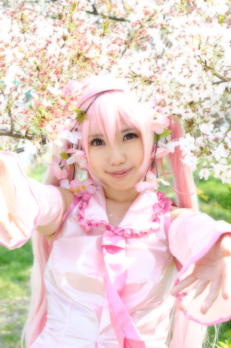 Mikku Miku Vol.1 Sakura Miku & Yuki Miku