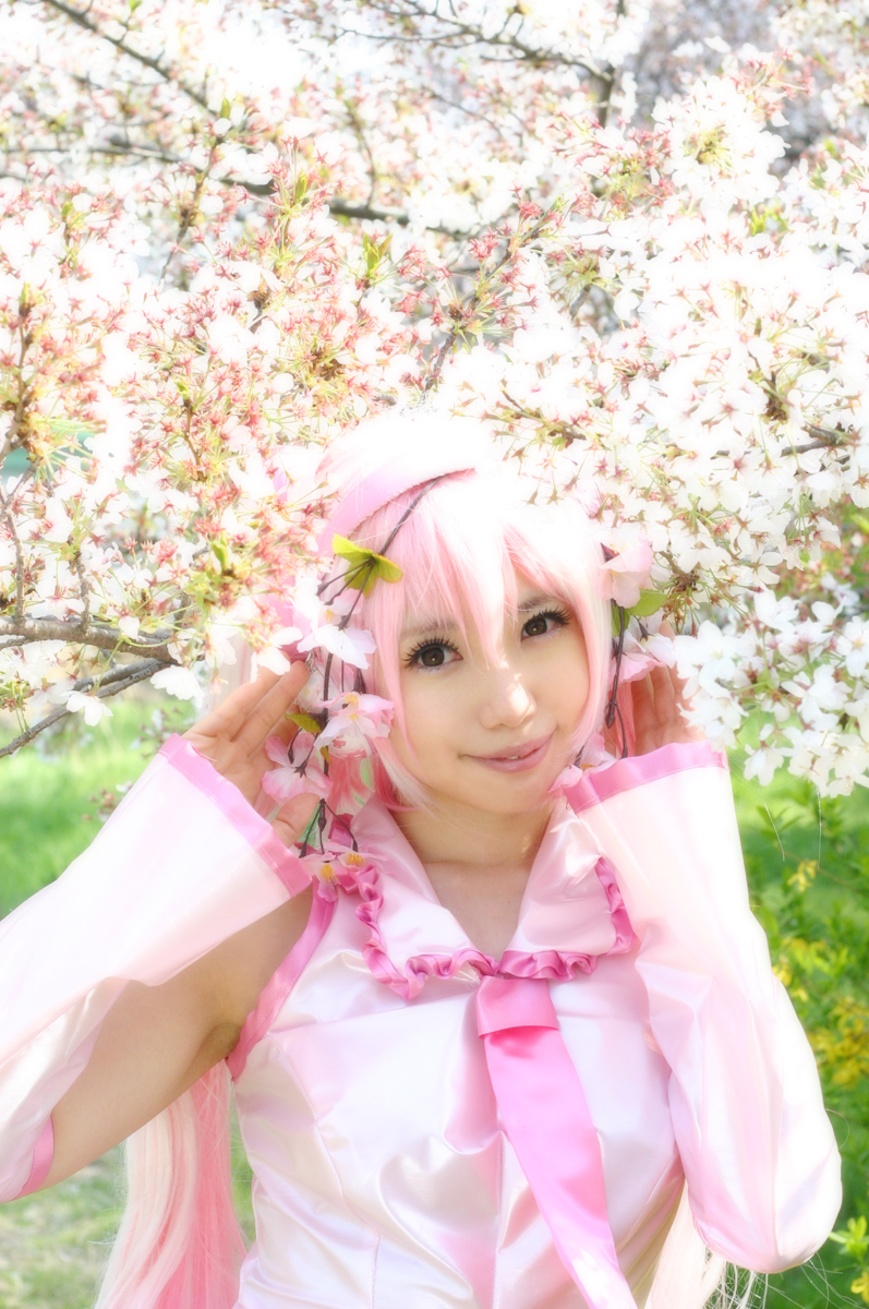 Mikku Miku Vol.1 Sakura Miku & Yuki Miku