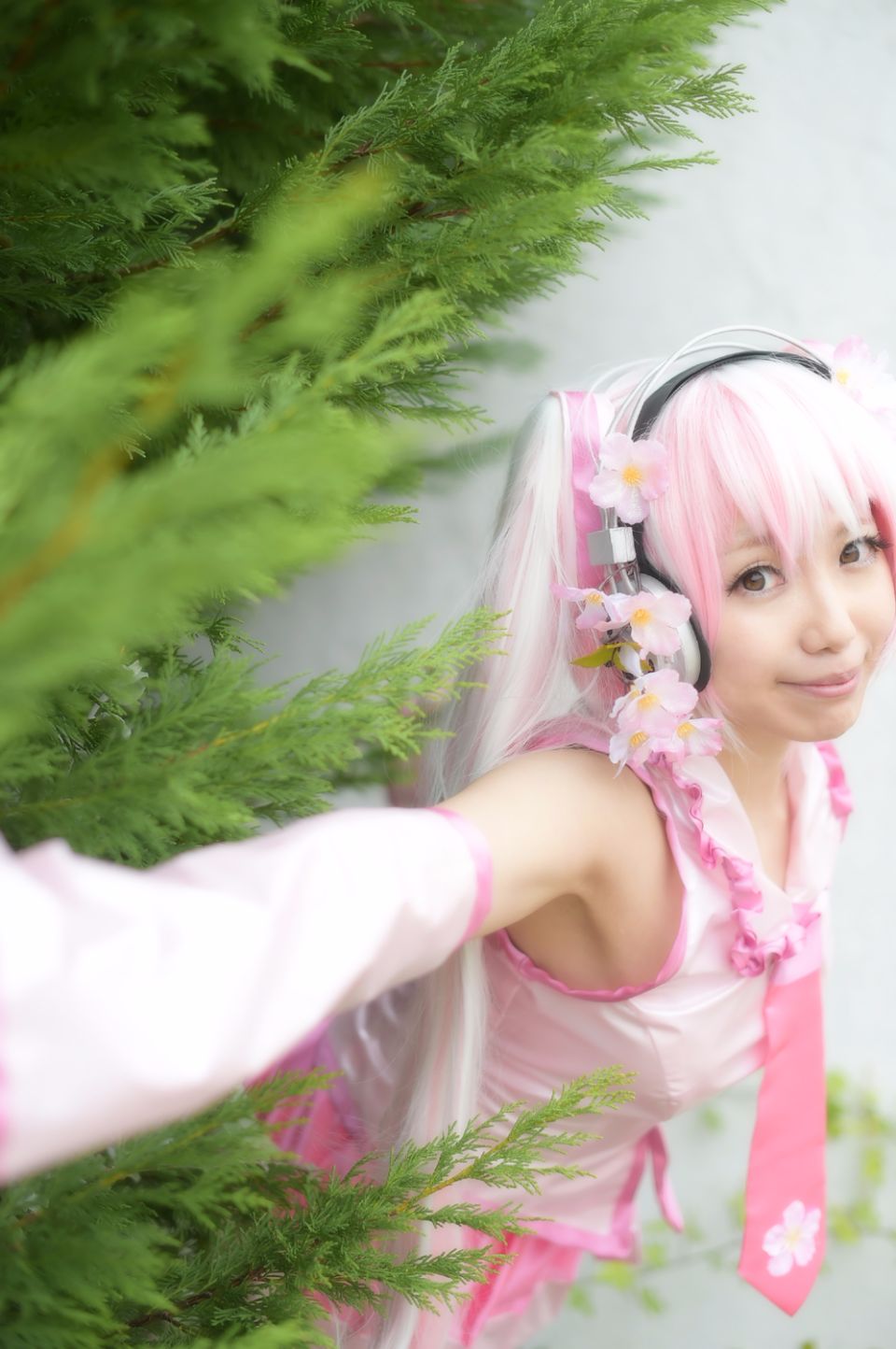 Mikku Miku Vol.1 Sakura Miku & Yuki Miku