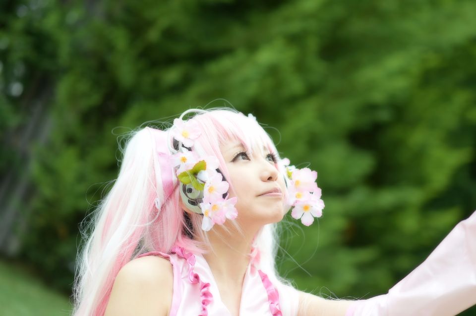 Mikku Miku Vol.1 Sakura Miku & Yuki Miku