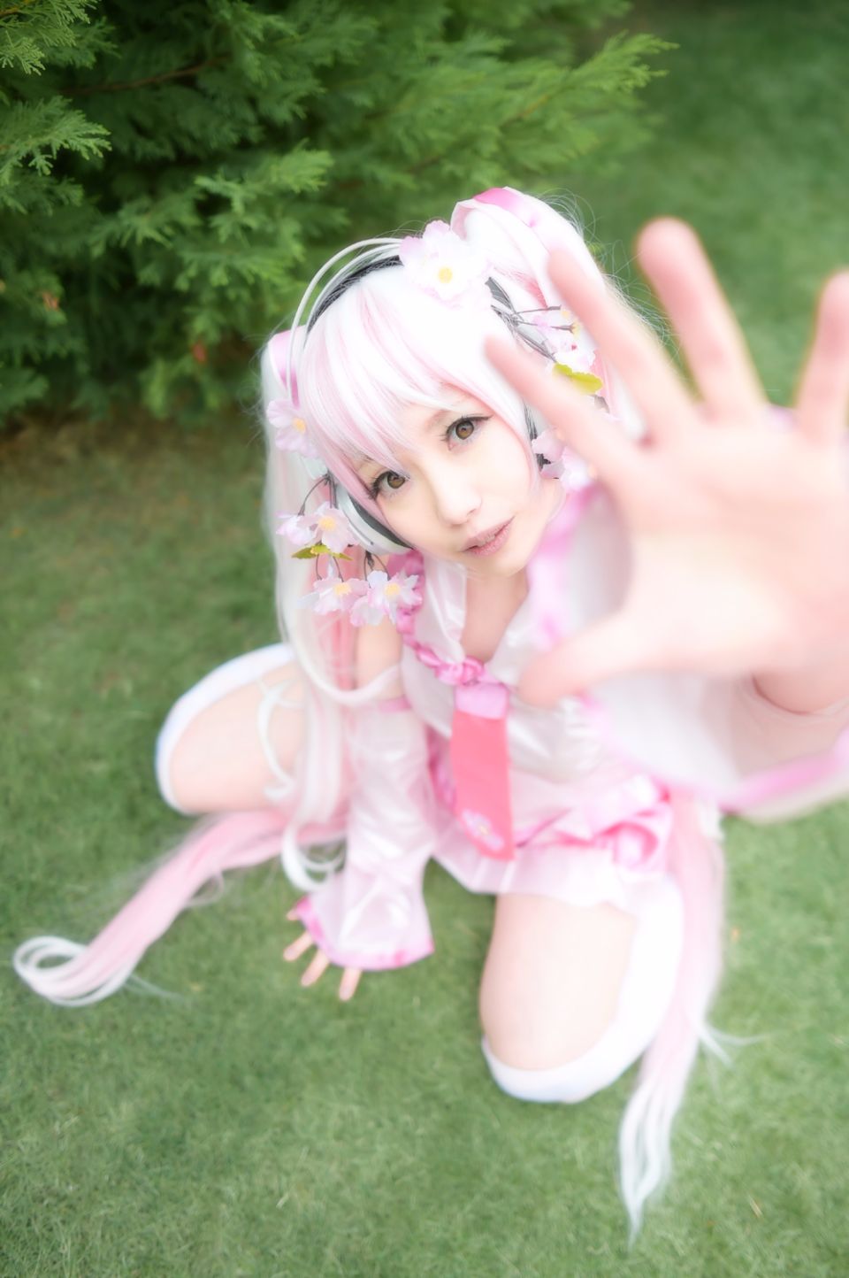 Mikku Miku Vol.1 Sakura Miku & Yuki Miku