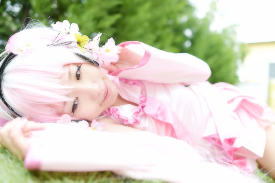 Mikku Miku Vol.1 Sakura Miku & Yuki Miku