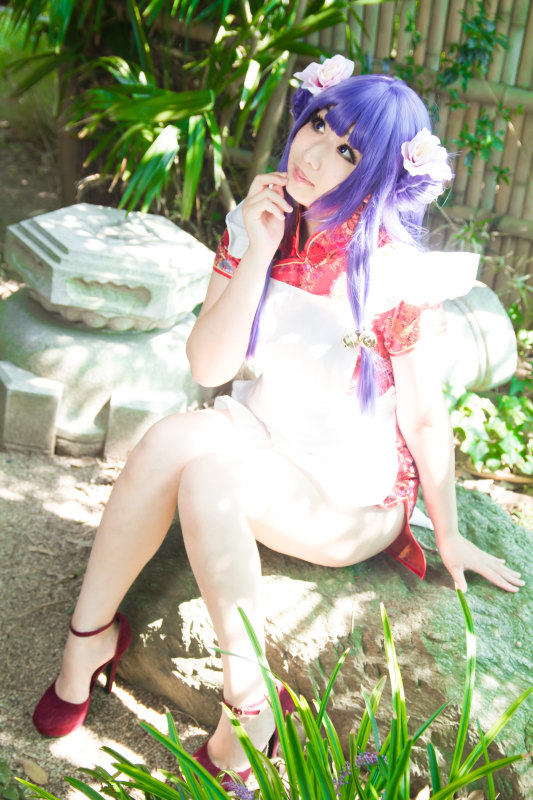 Nữ mèo ở nhà hàng mèo