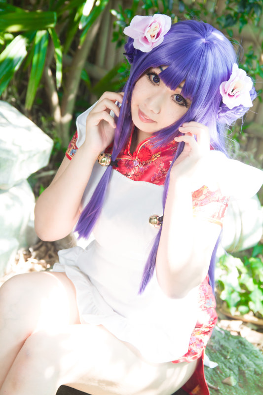 Nữ mèo ở nhà hàng mèo