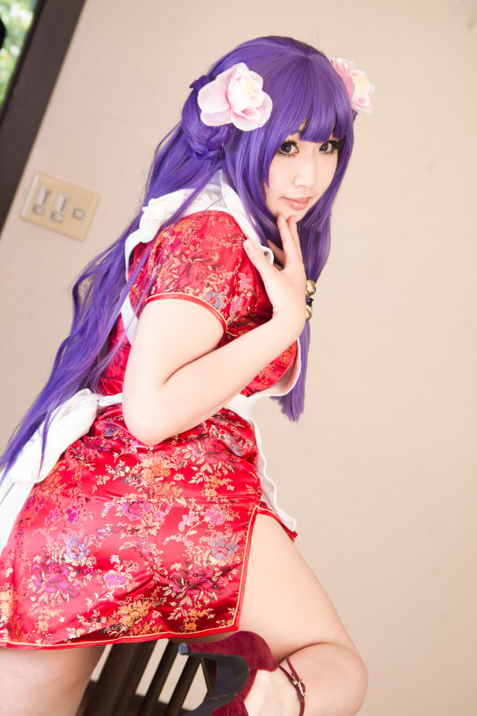 Nữ mèo ở nhà hàng mèo