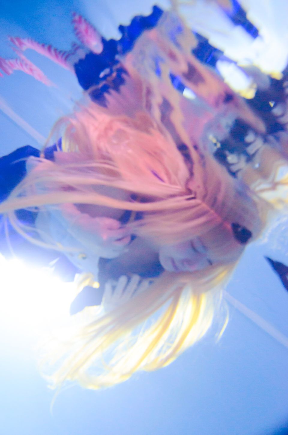 [Shugamyuku] Gathering Wind ~ Shimakaze & Yukikaze ~