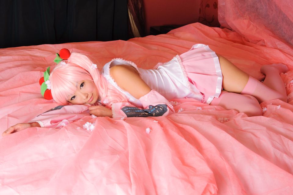 Hoa anh đào tuyết