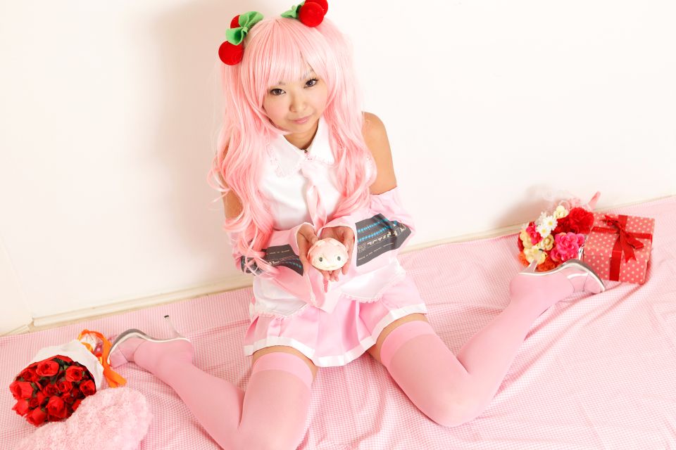 Hoa anh đào tuyết