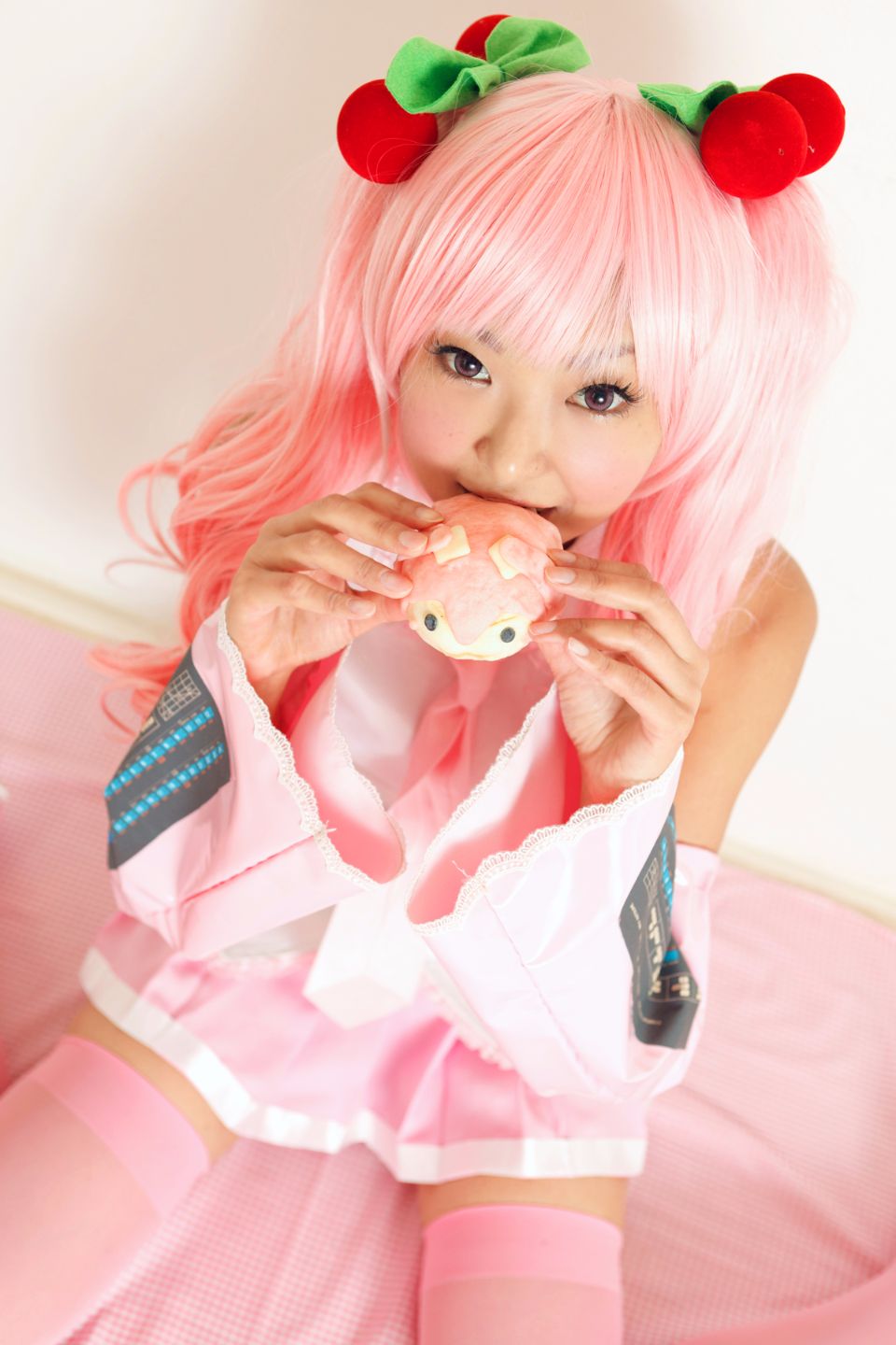 Hoa anh đào tuyết