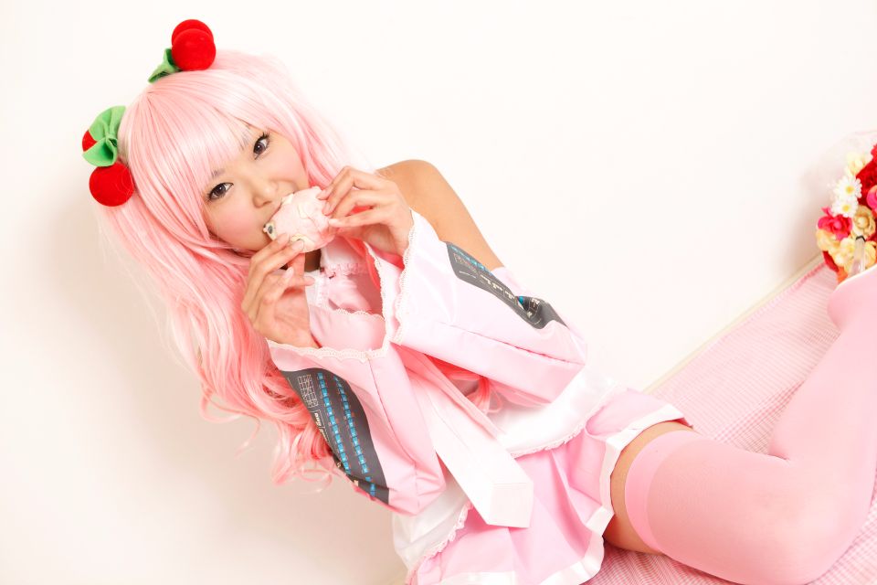 Hoa anh đào tuyết