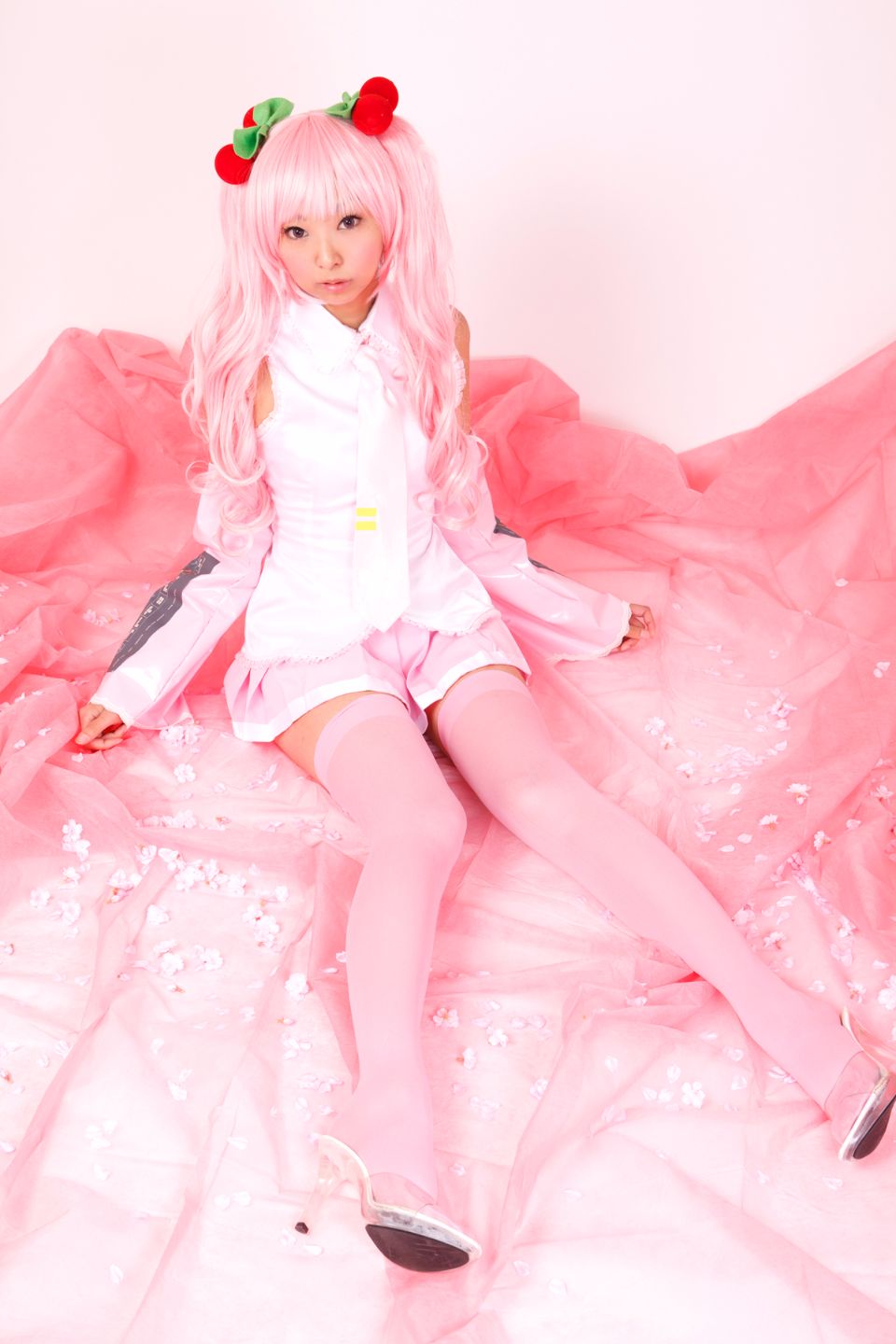 Hoa anh đào tuyết