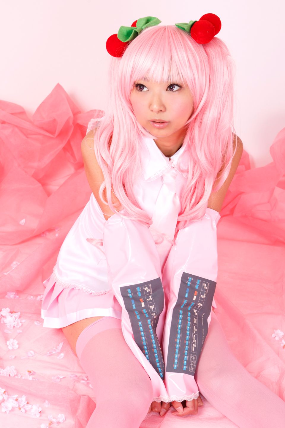 Hoa anh đào tuyết