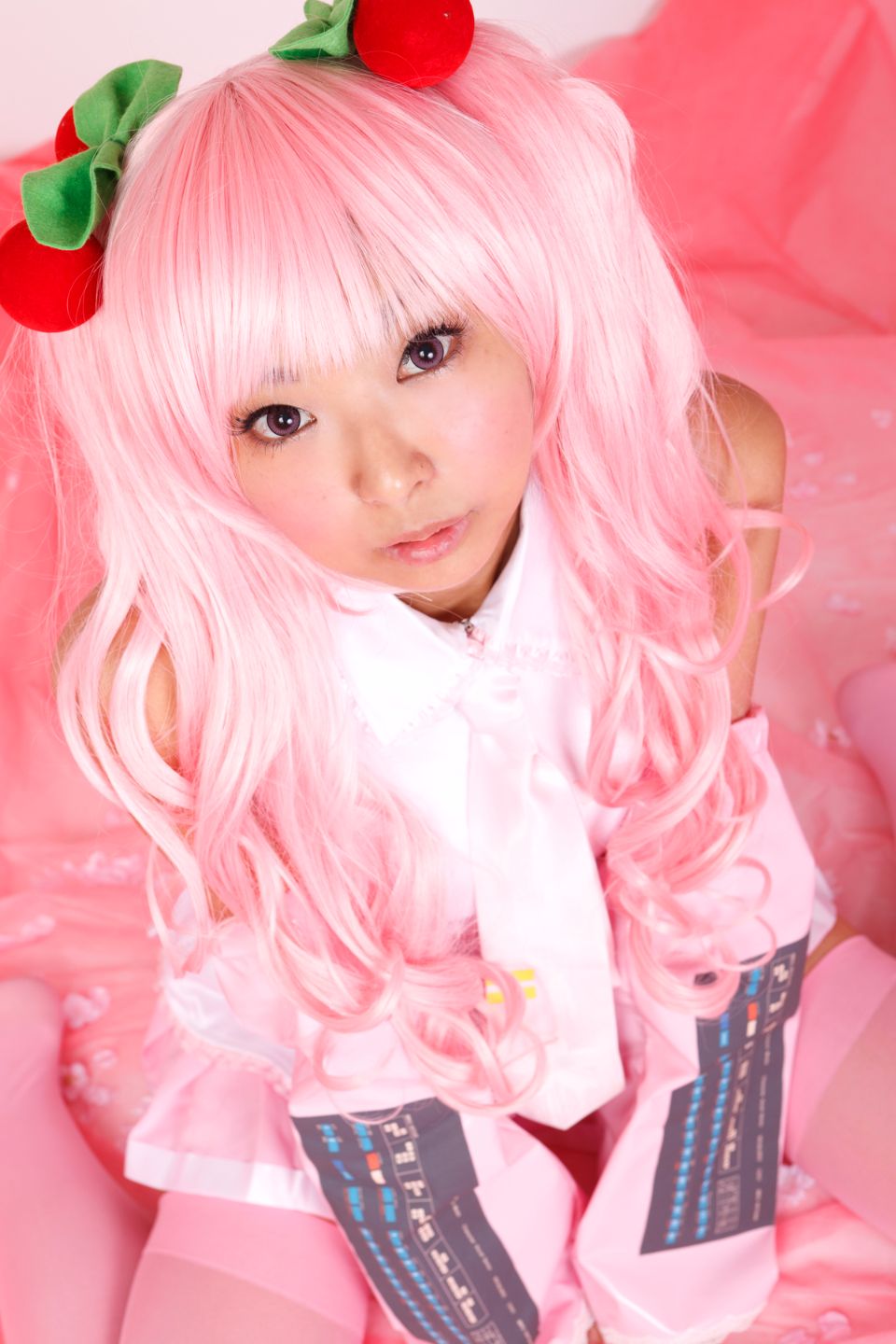 Hoa anh đào tuyết