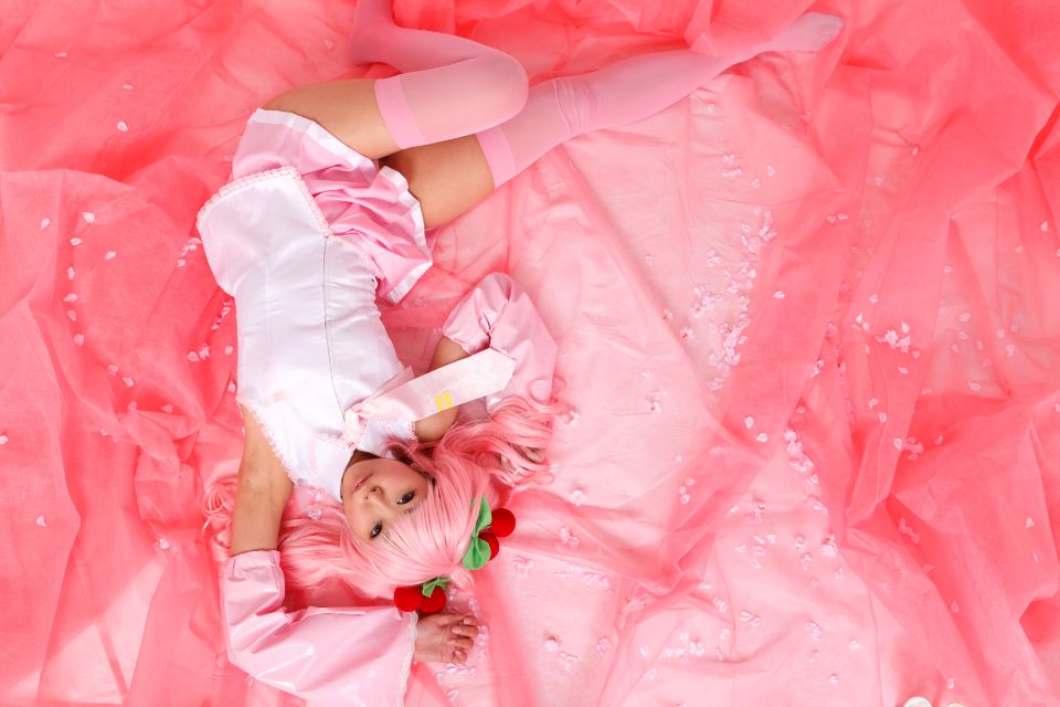 Hoa anh đào tuyết