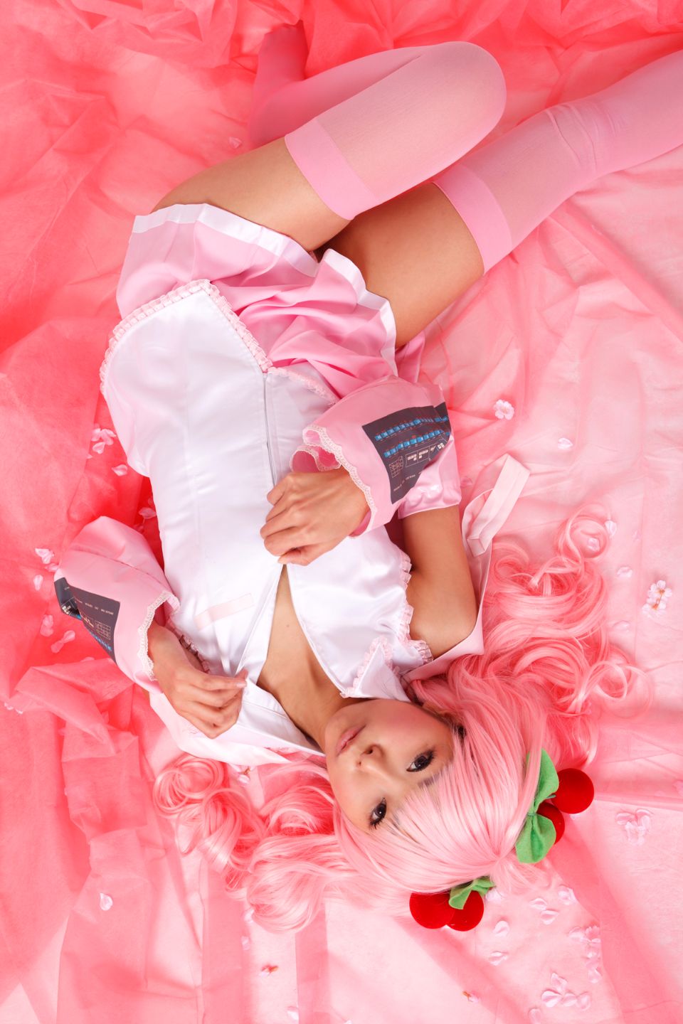 Hoa anh đào tuyết