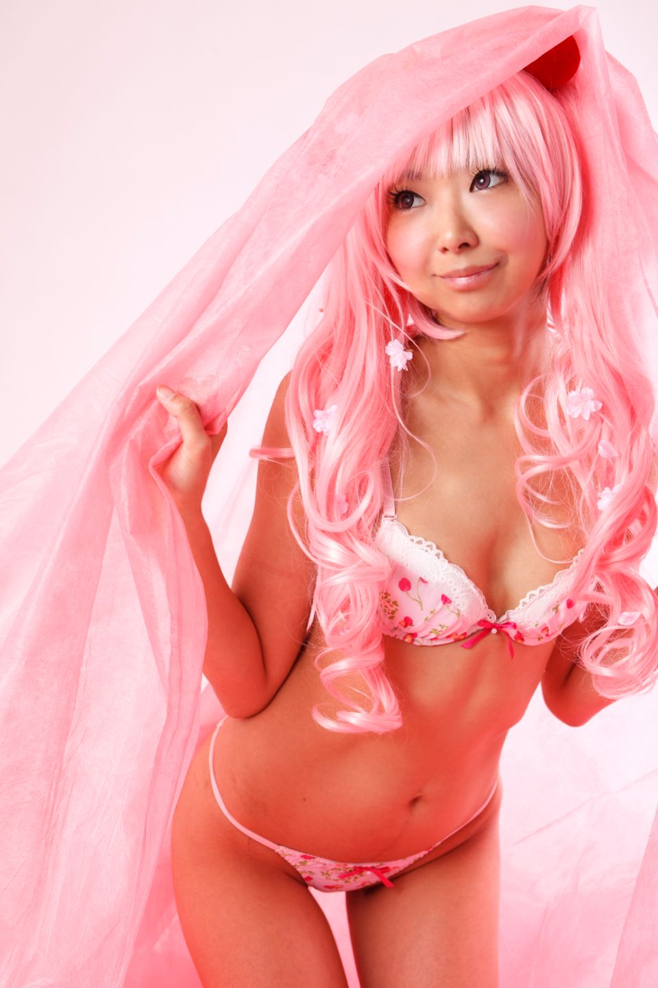 Hoa anh đào tuyết