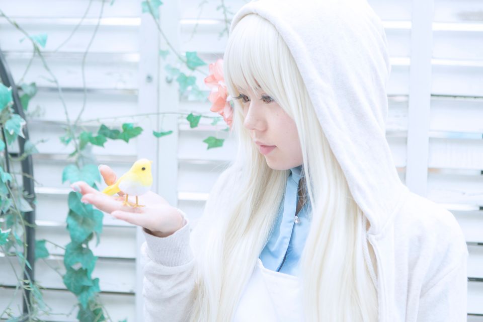 Thị trưởng thành phố Mekaku