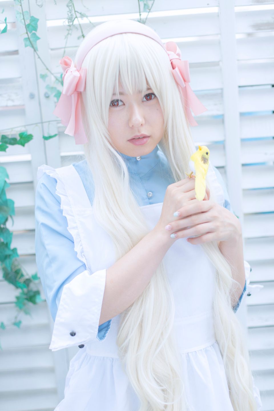 Thị trưởng thành phố Mekaku