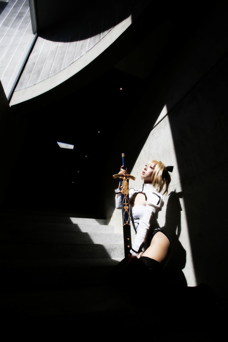 Fate Saber Cosplay Photo Book Saver × Saver