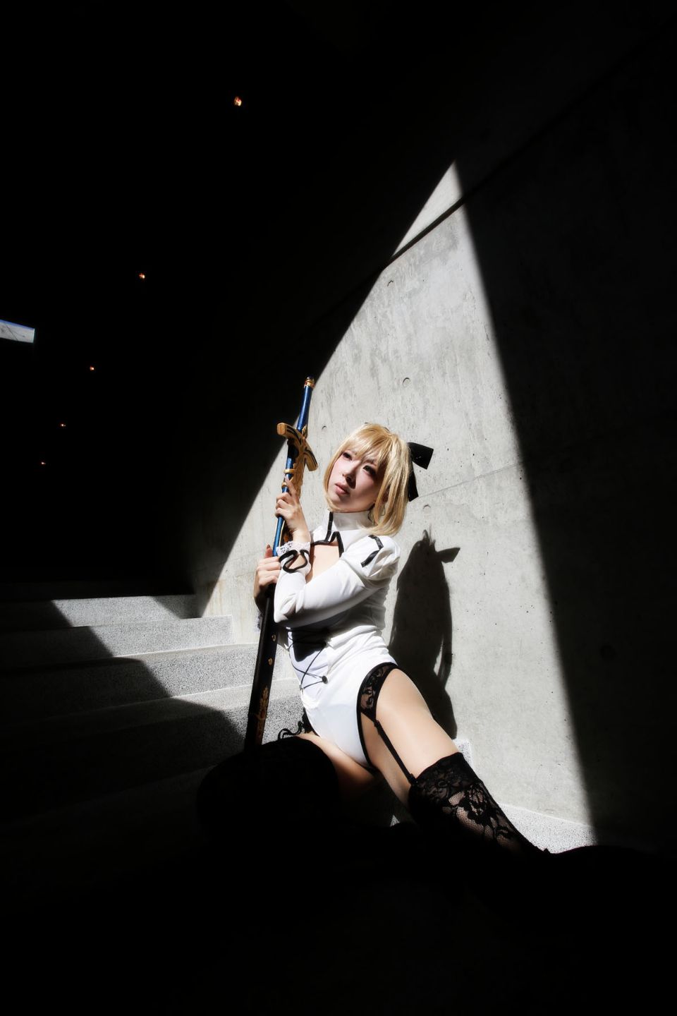 Fate Saber Cosplay Photo Book Saver × Saver