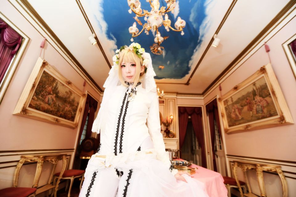 Fate Saber Cosplay Photo Book Saver × Saver