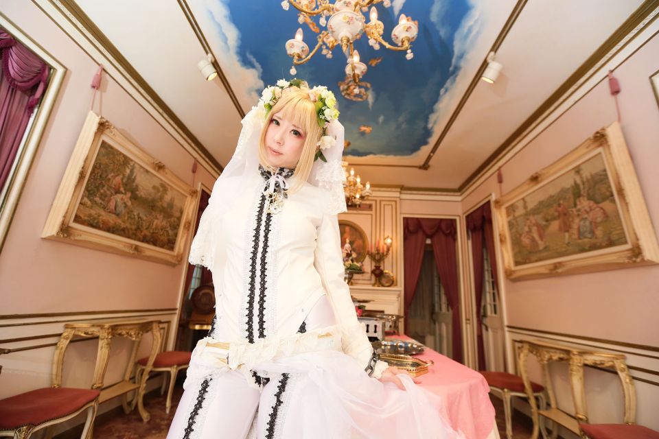 Fate Saber Cosplay Photo Book Saver × Saver