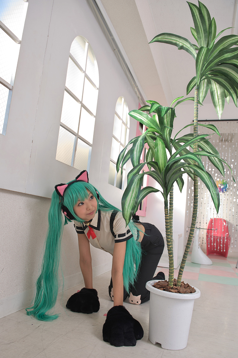 NEKOCO-Dự án Necoco