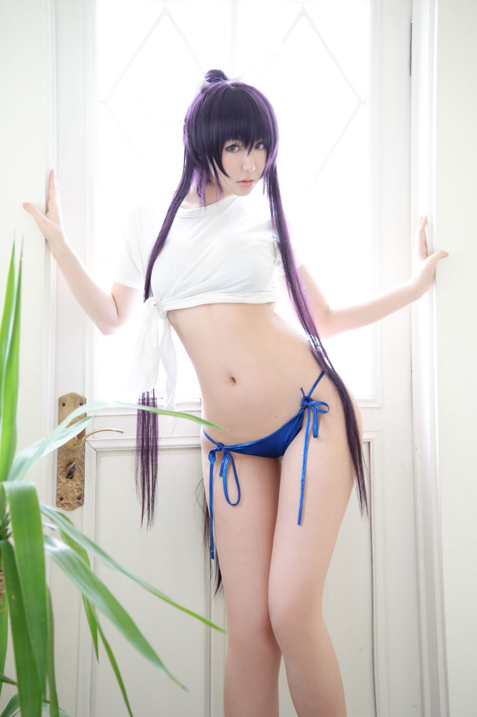 Một loại pháo hoa thần thánh của Kibashi nào