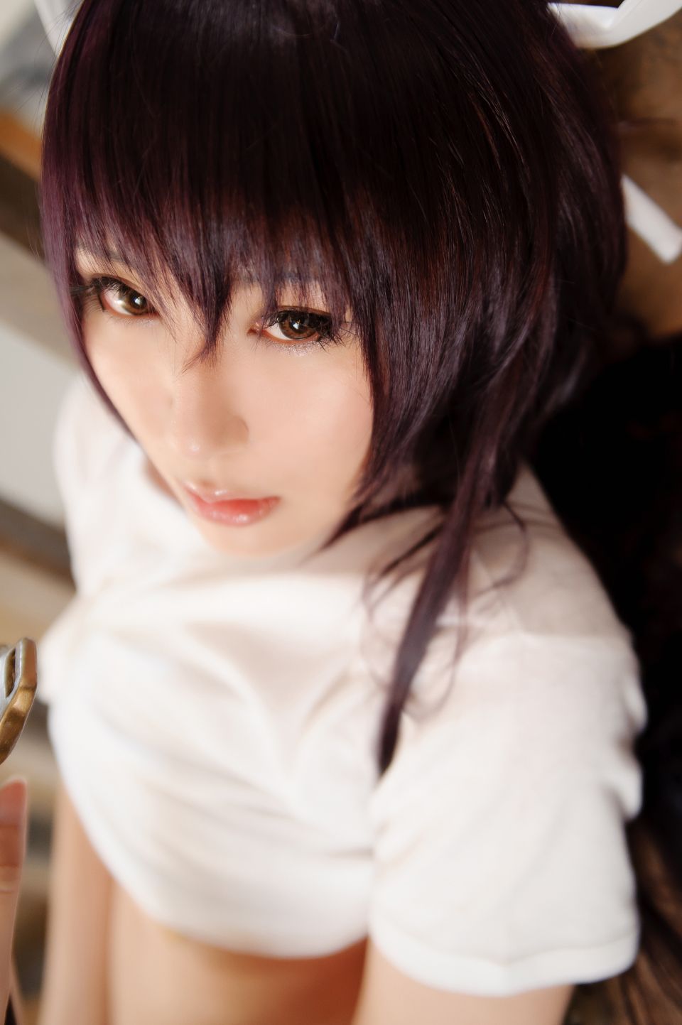 Một loại pháo hoa thần thánh của Kibashi nào