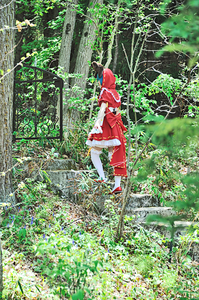 [SHT] đầy màu sắc ★ Pop!