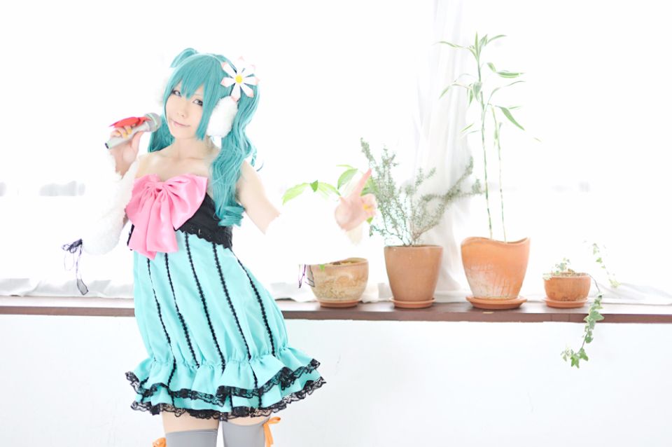 [SHT] đầy màu sắc ★ Pop!