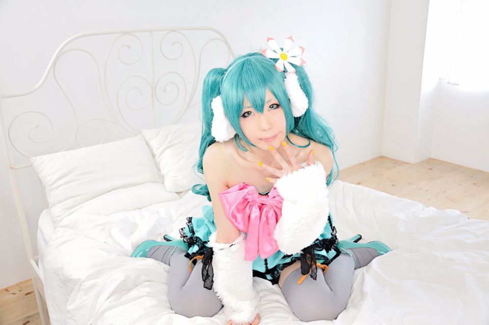 [SHT] đầy màu sắc ★ Pop!