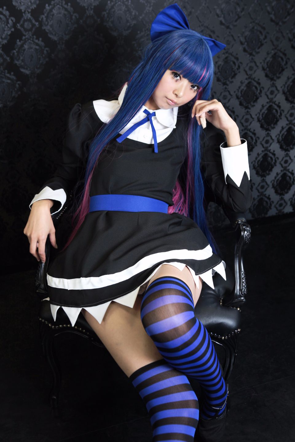 Shimapan và thả giống