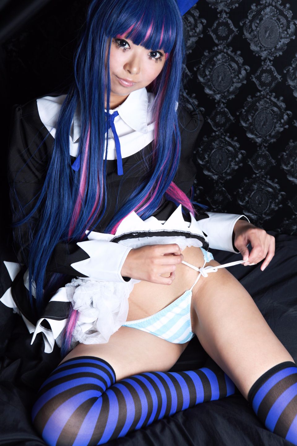 Shimapan và thả giống