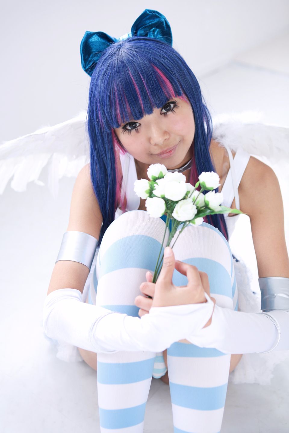 Shimapan và thả giống