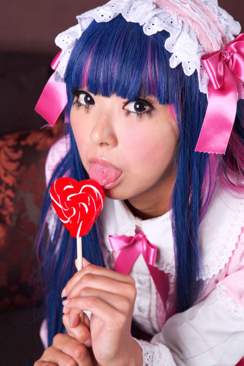 Shimapan và thả giống