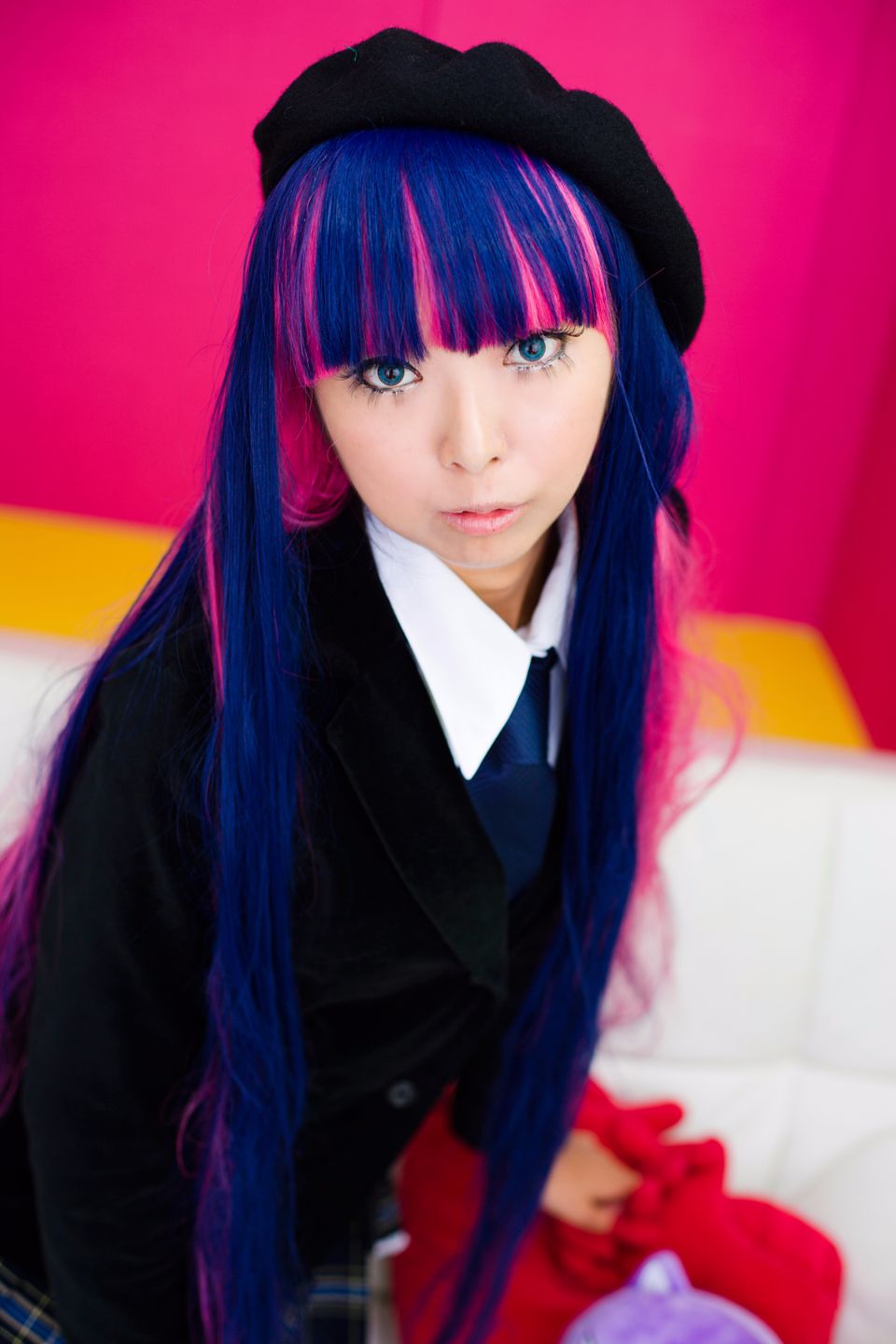 Shimapan và thả giống