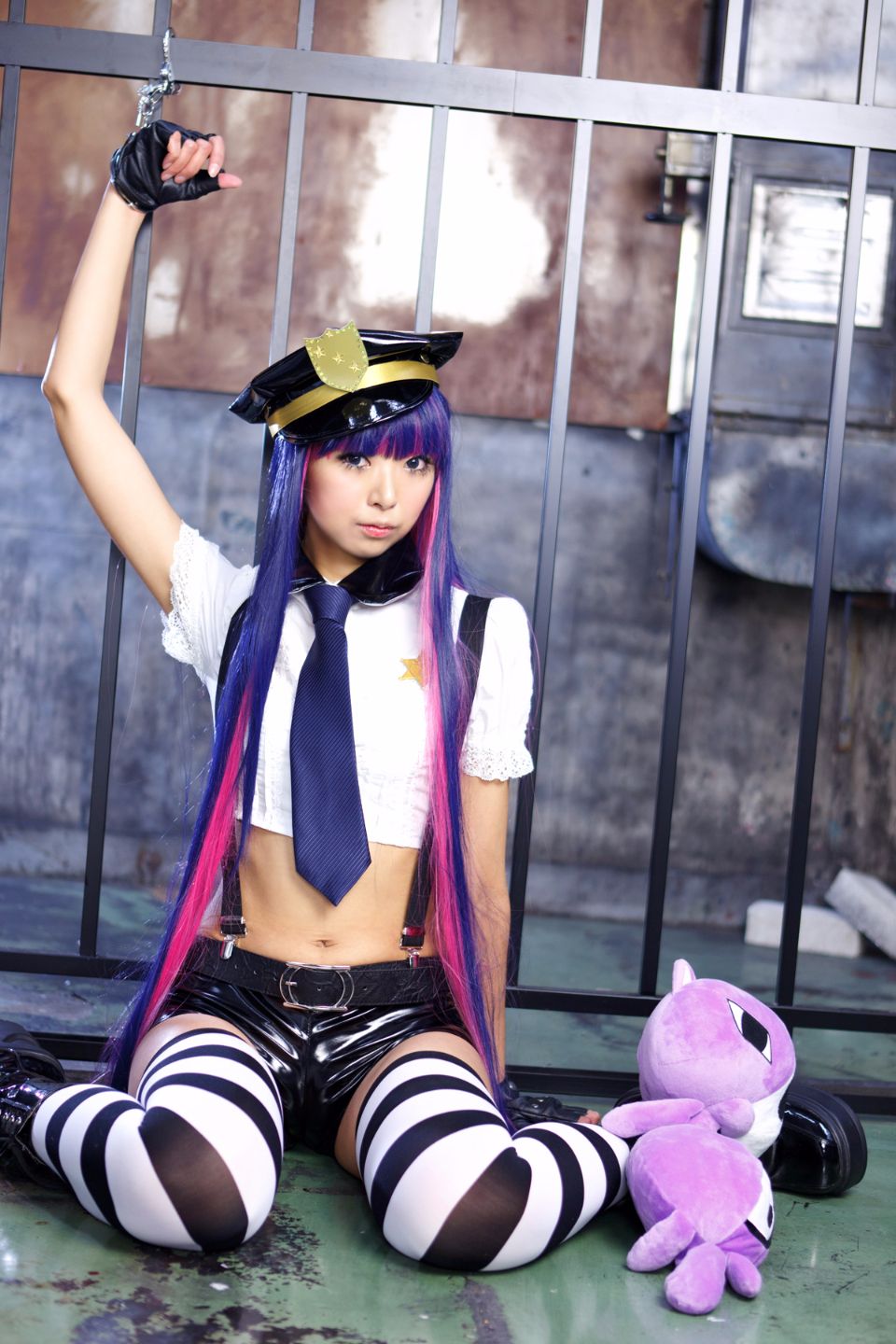 Shimapan và thả giống