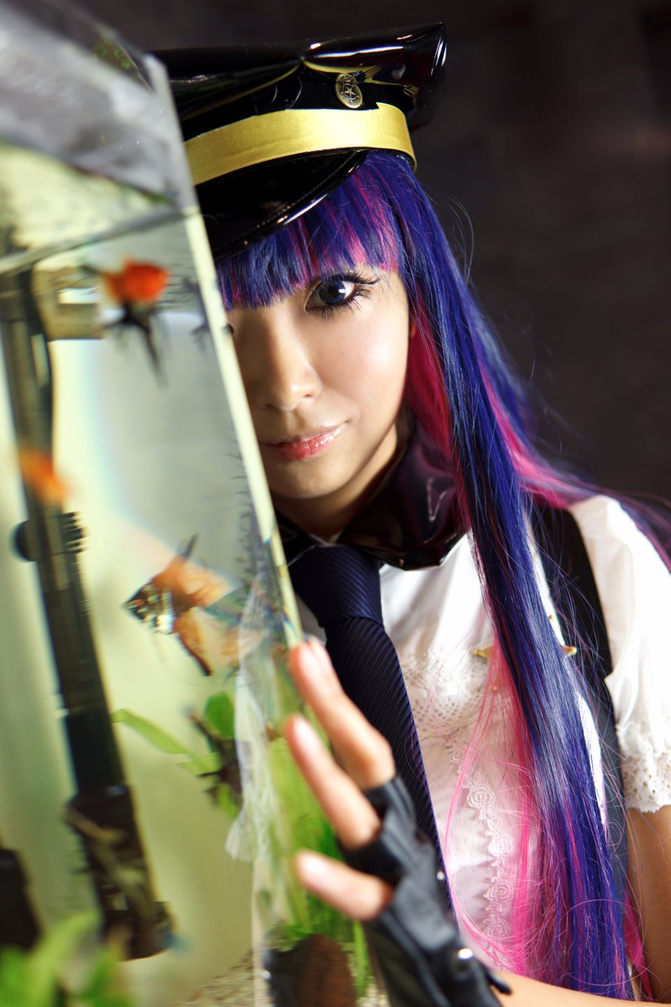 Shimapan và thả giống