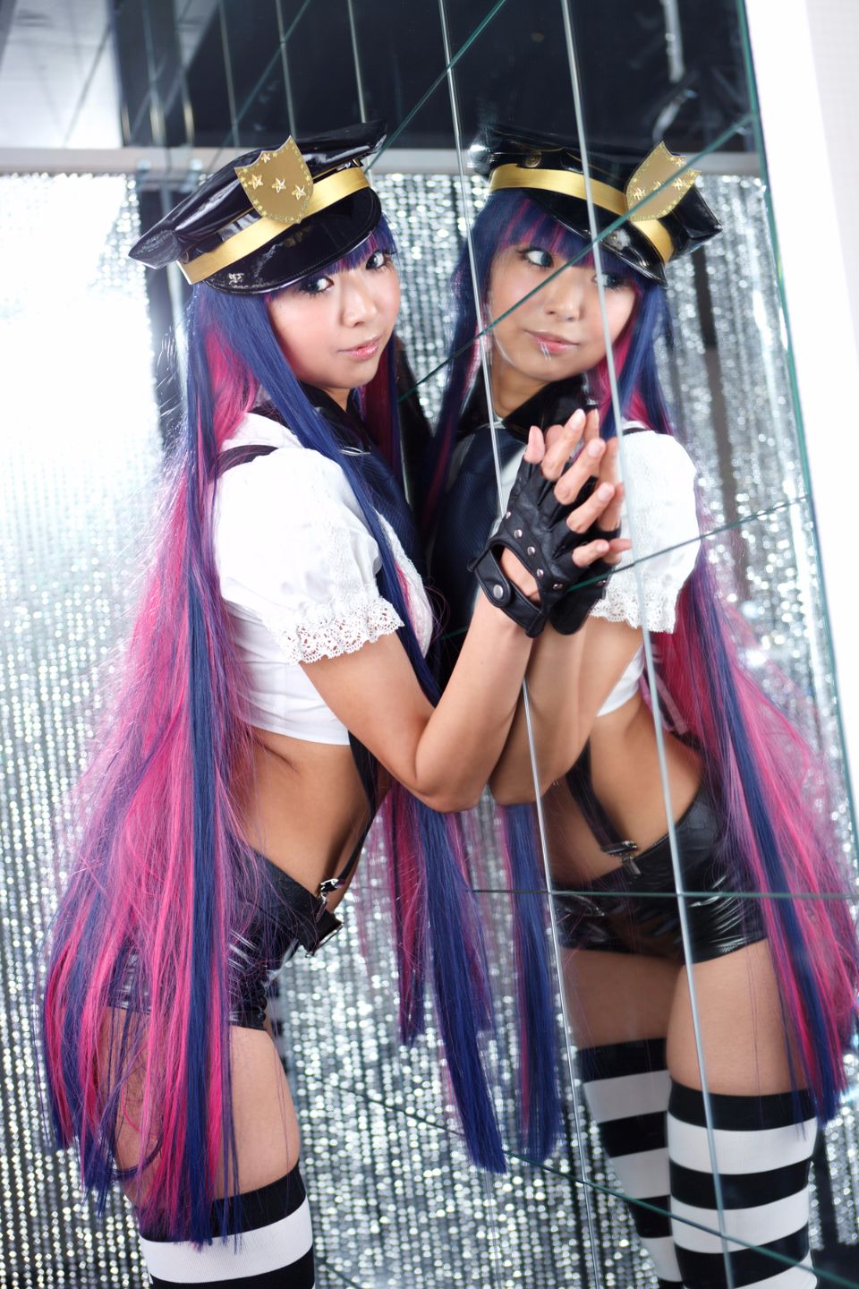 Shimapan và thả giống