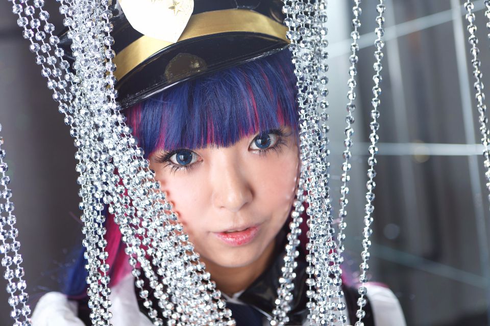 Shimapan và thả giống