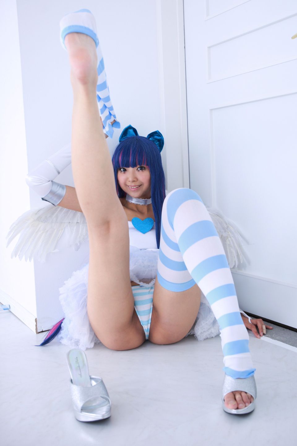 Shimapan và thả giống