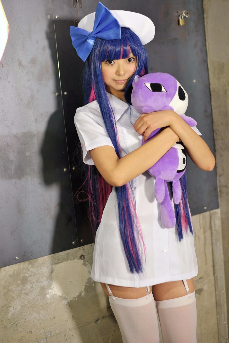 Shimapan và thả giống