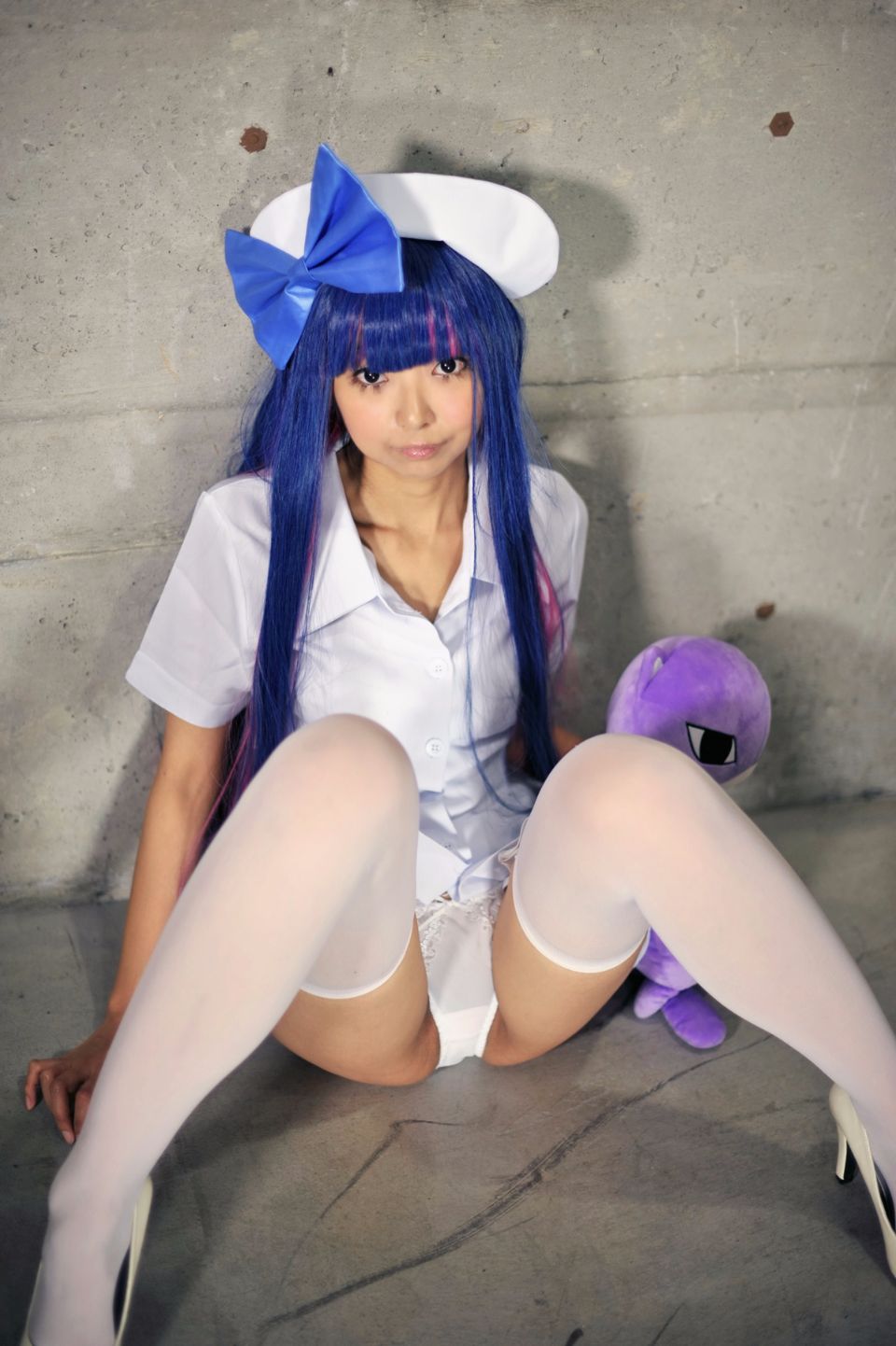 Shimapan và thả giống