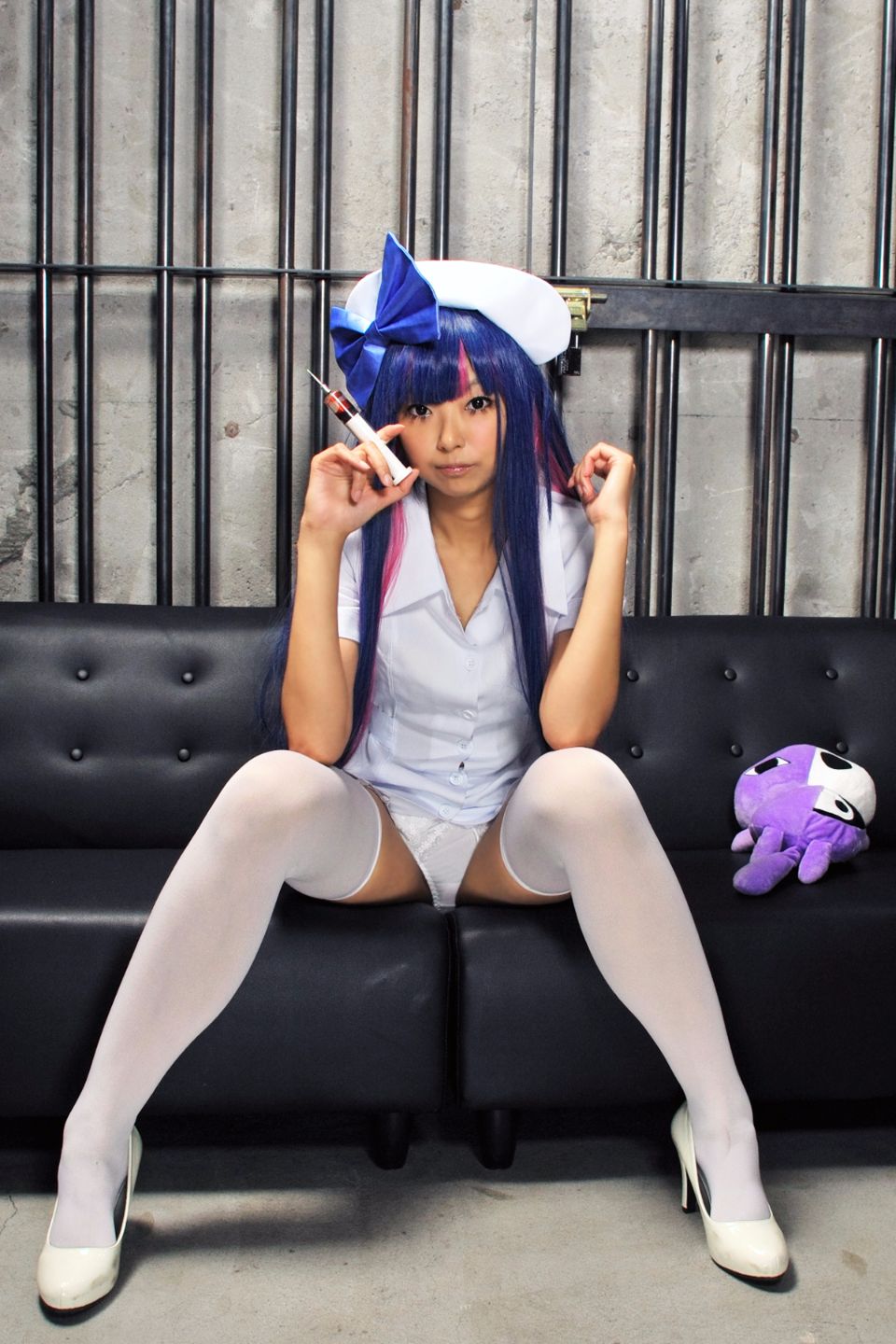 Shimapan và thả giống