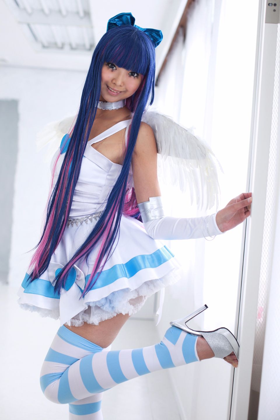 Shimapan và thả giống