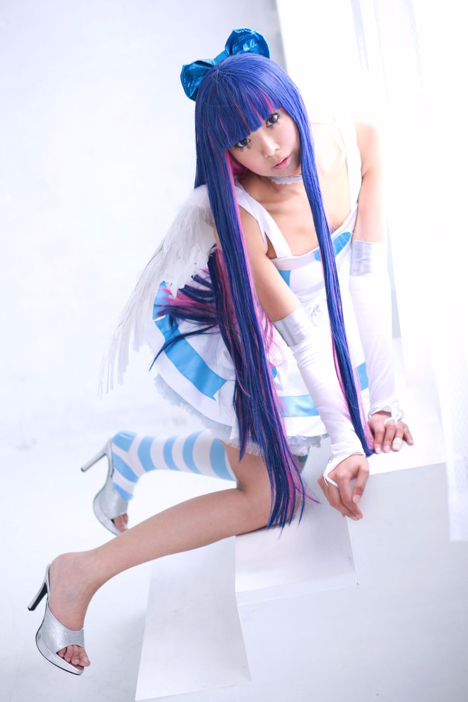 Shimapan và thả giống