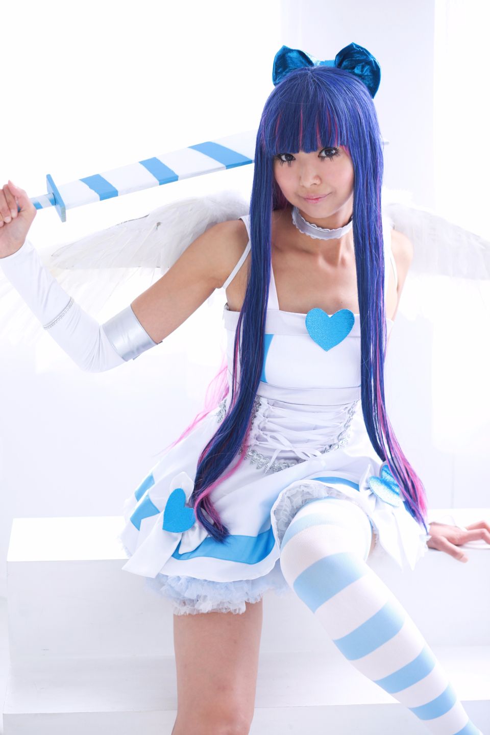 Shimapan và thả giống